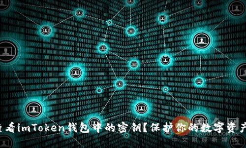 如何查看imToken钱包中的密钥？保护你的数字资产安全！