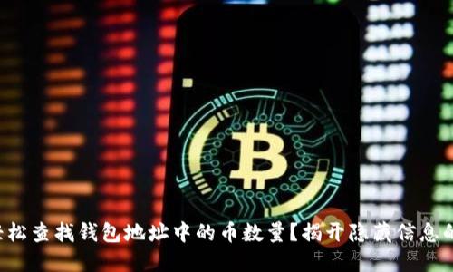 如何轻松查找钱包地址中的币数量？揭开隐藏信息的秘籍！