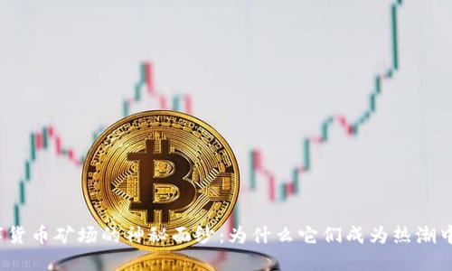 揭开数字货币矿场的神秘面纱：为什么它们成为热潮中的新宠？