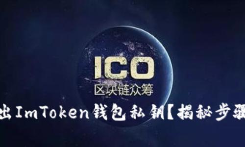 如何安全导出ImToken钱包私钥？揭秘步骤与注意事项