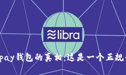揭开Copay钱包的真相：这是一个正规平台吗？