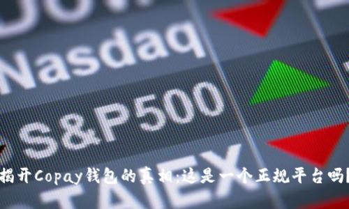 揭开Copay钱包的真相：这是一个正规平台吗？