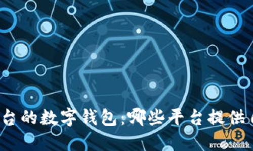 探索区块链平台的数字钱包：哪些平台提供自主钱包系统？