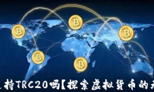 
IM钱包支持TRC20吗？探索虚拟货币的无限可能！