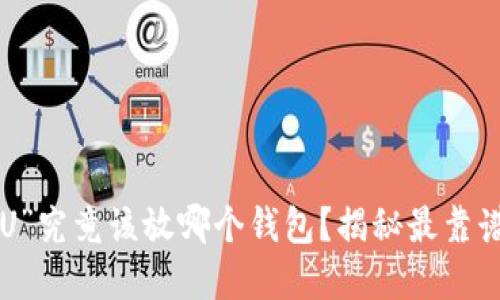 区块链“U”究竟该放哪个钱包？揭秘最靠谱的选择！