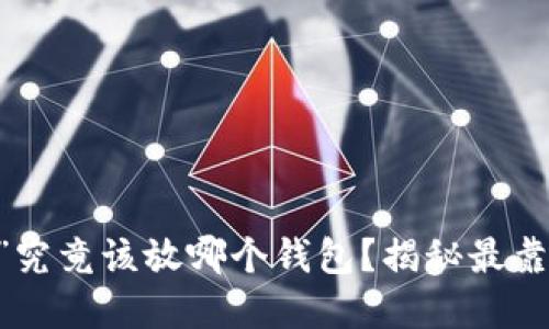 区块链“U”究竟该放哪个钱包？揭秘最靠谱的选择！