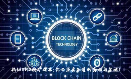 揭秘BHD挖矿成本：你必须要知道的真相与策略！