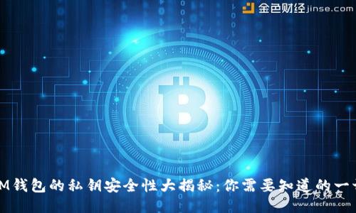 IM钱包的私钥安全性大揭秘：你需要知道的一切