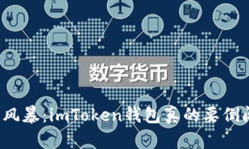 宁静的风暴：imToken钱包真的要倒闭了吗？
