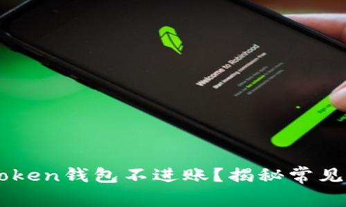 为什么你的imToken钱包不进账？揭秘常见问题与解决方案