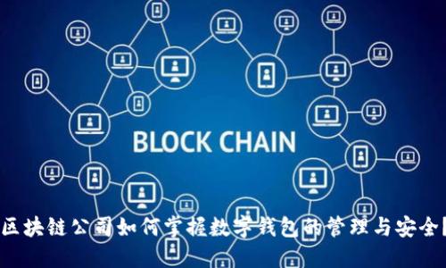 区块链公司如何掌握数字钱包的管理与安全？