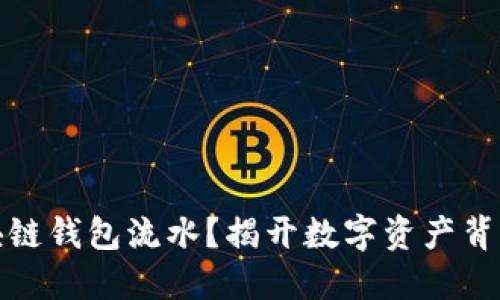 如何查看区块链钱包流水？揭开数字资产背后的神秘面纱