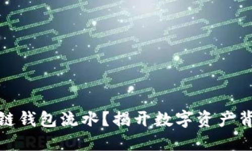 如何查看区块链钱包流水？揭开数字资产背后的神秘面纱