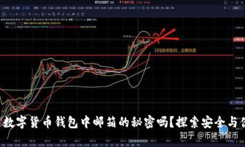 你真的知道数字货币钱包中邮箱的秘密吗？探索安全与便利的平衡！
