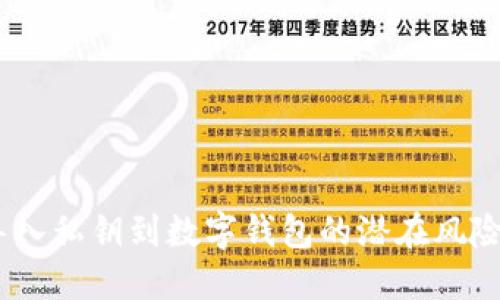 深入解读：导入私钥到数字钱包的潜在风险与应对策略