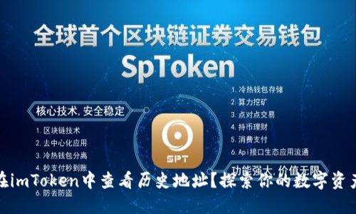 如何在imToken中查看历史地址？探索你的数字资产轨迹