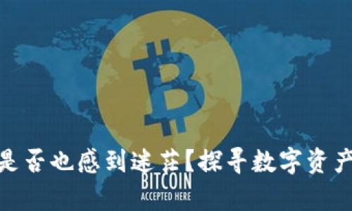 在矿机与鱼池之间，您是否也感到迷茫？探寻数字资产与真实投资的交汇点！
