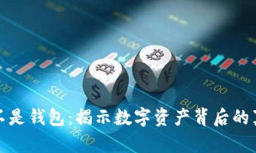 加密货币不是钱包：揭示数字资产背后的真相与误区