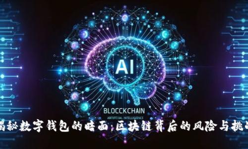 揭秘数字钱包的暗面：区块链背后的风险与挑战