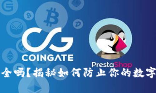 比特币安全吗？揭秘如何防止你的数字资产被盗