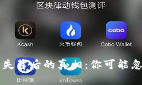 区块链钱包消失背后的真相：你可能忽视的关键因素