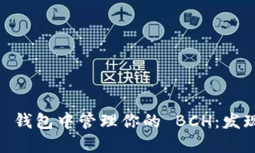 如何在 imToken 钱包中管理你的 BCH：发现无忧使用的秘密