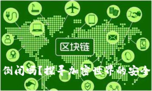 加密货币钱包会倒闭吗？探寻加密世界的安全隐患与未来之路