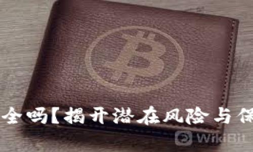 区块链钱包安全吗？揭开潜在风险与保护措施的真相