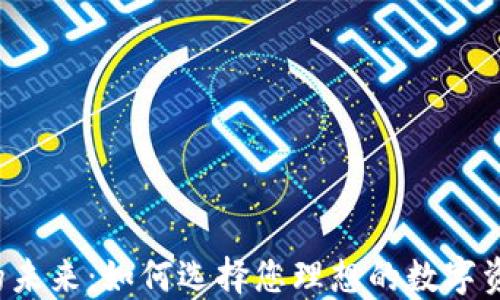 
区块链钱包的未来：如何选择您理想的数字资产保护方案？
