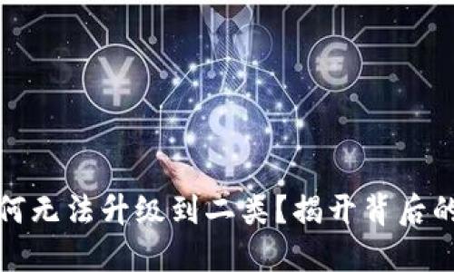 你的数字钱包为何无法升级到二类？揭开背后的原因和解决方案