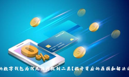 你的数字钱包为何无法升级到二类？揭开背后的原因和解决方案