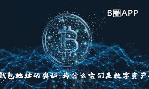 揭秘区块链钱包地址的奥秘：为什么它们是数字资产安全的关键？