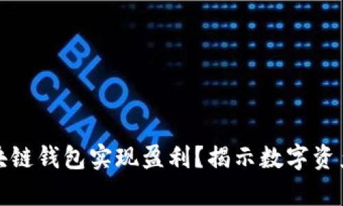 如何通过区块链钱包实现盈利？揭示数字资产的财富密码