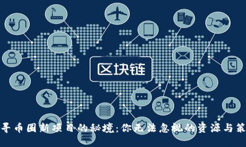 探寻币圈新项目的秘境：你无法忽视的资源与策略