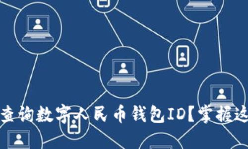如何高效查询数字人民币钱包ID？掌握这7个技巧！
