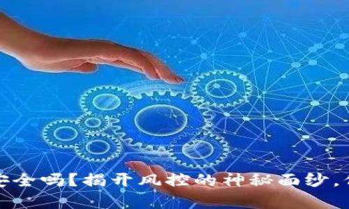 区块链钱包真的安全吗？揭开风控的神秘面纱，保护你的资产之道