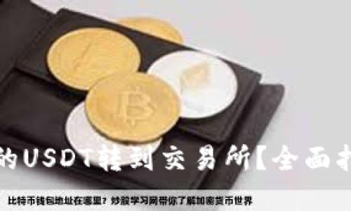 如何将钱包里的USDT转到交易所？全面指南与实用技巧