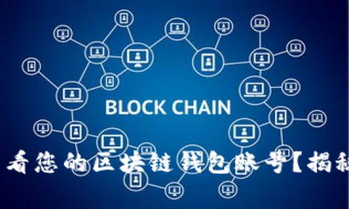 深入了解：如何查看您的区块链钱包账号？揭秘步骤与注意事项
