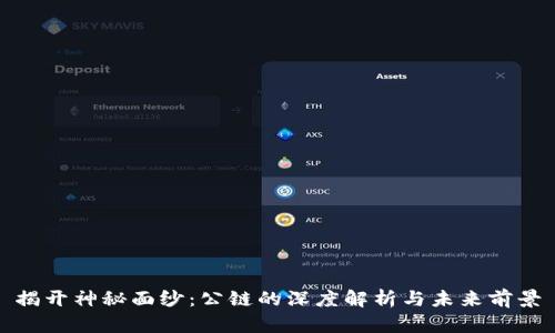 揭开神秘面纱：公链的深度解析与未来前景