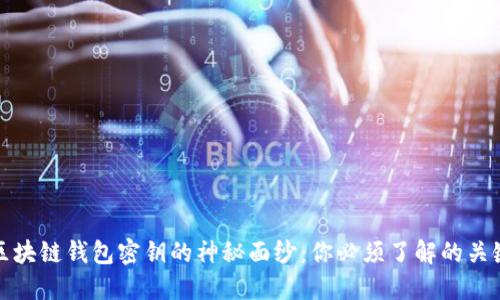揭开区块链钱包密钥的神秘面纱：你必须了解的关键信息
