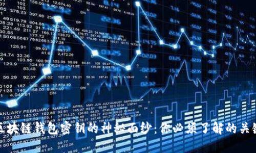 揭开区块链钱包密钥的神秘面纱：你必须了解的关键信息