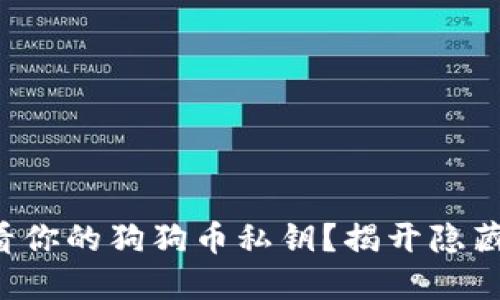 如何查看你的狗狗币私钥？揭开隐藏的秘密！