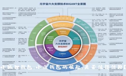 小狐狸钱包：小众钱包的崛起，是否值得信赖？