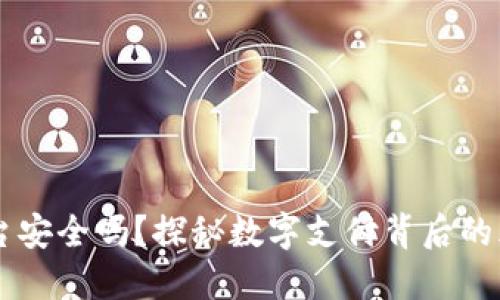 易币付平台安全吗？探秘数字支付背后的风险与保障