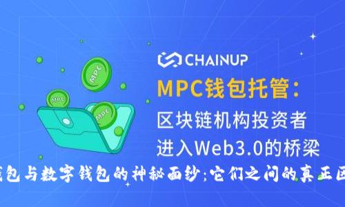 揭开电子钱包与数字钱包的神秘面纱：它们之间的真正区别是什么？