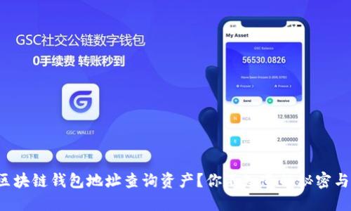 如何通过区块链钱包地址查询资产？你不知道的秘密与技巧揭秘！