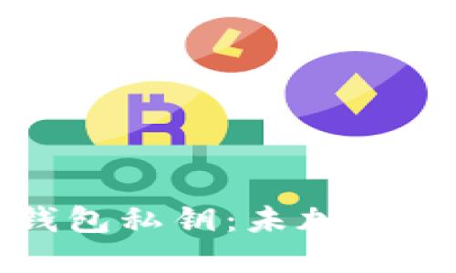 如何保护你的以太坊钱包私钥：未加密私钥的风险与解决方案