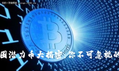 2023年币圈潜力币大揭密：你不可忽视的投资机会！