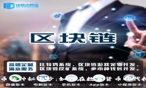 揭开Bee币的神秘面纱：如何在数字货币时代把握机会？