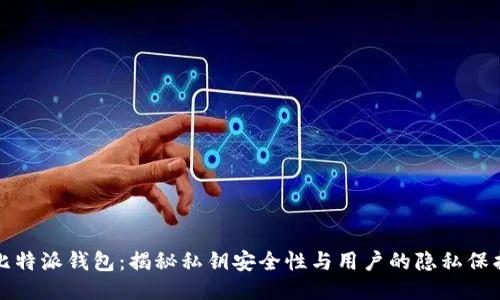 比特派钱包：揭秘私钥安全性与用户的隐私保护